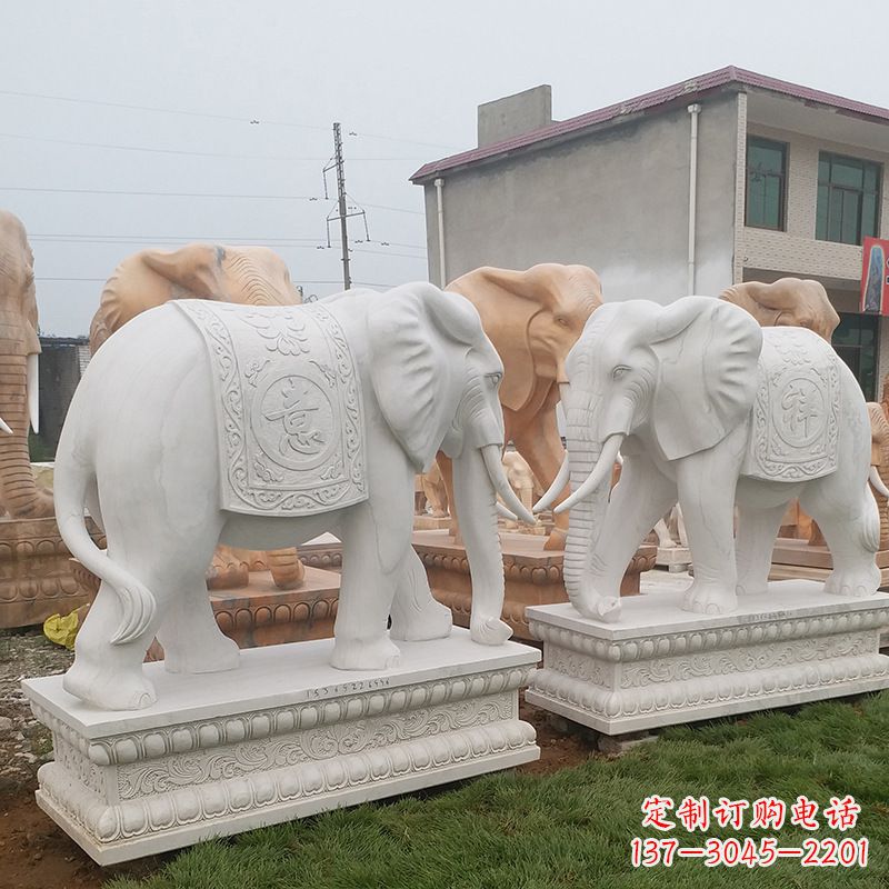 常州学校石雕大象